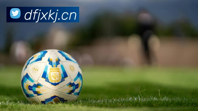 未来规划